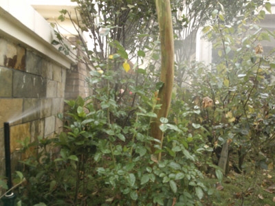住宅區(qū)灌溉